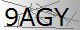 Alternate Text