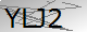 Alternate Text